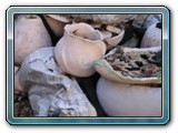 DSCN5277