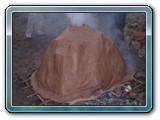 DSCN5340