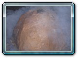 DSCN5344