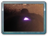 DSCN5347