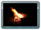DSCN5351
