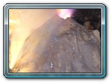 DSCN5392