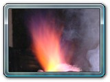DSCN5398