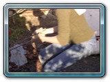 DSCN5475