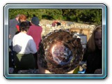 DSCN5478