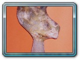 R002-022