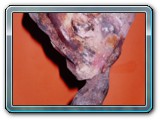 R002-028