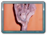 R002-032